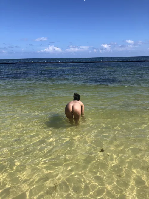 Looking for shells by CuteeAssaButton