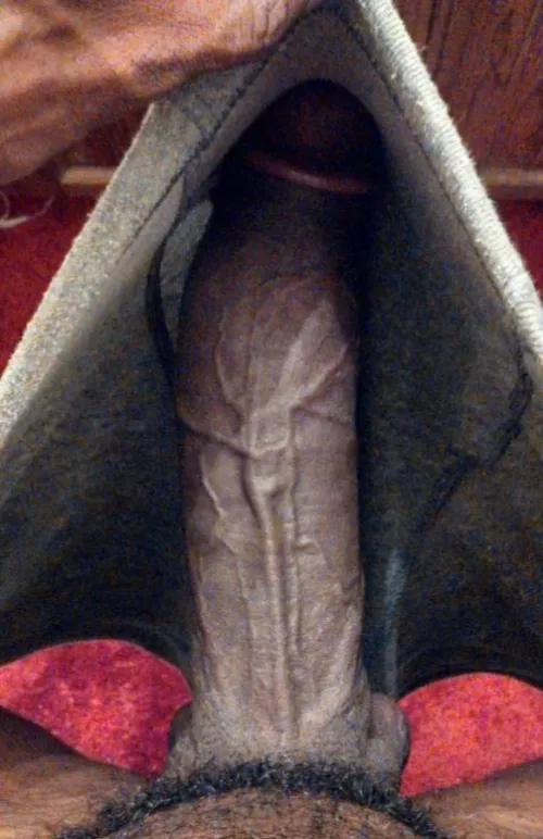 Looking for some free pussys :) by lucas187__