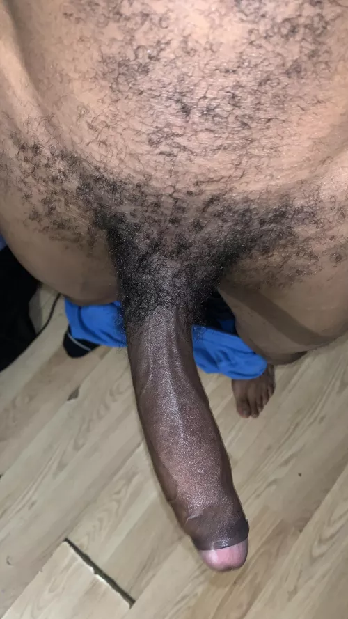 Looking to break backs! by Thelemonadebase