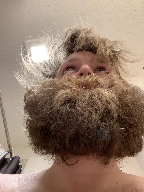 Looking up…ask about a peek down by aaaloner