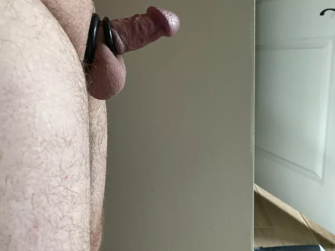 Looks smaller but it has a magnificent head [32] M by weekendfun6899