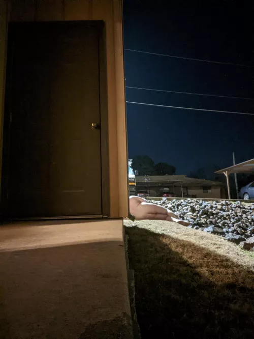 Lounging by CauliflowerNo4261