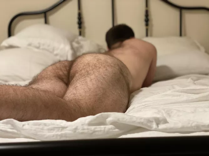 Lounging in bed by poserbro