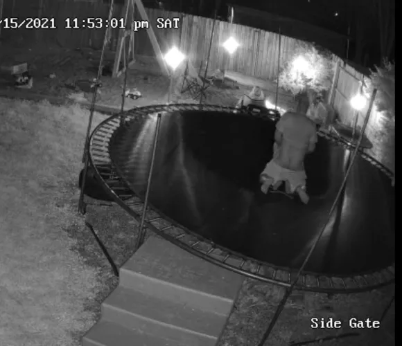 Love checking the security cameras and finding my wife fucking our friend while our other friends watch. by SaltySandbar69