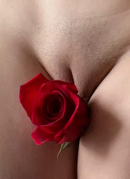 love by lipslikesugar8