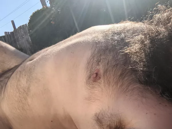 Love feeling the sun on my fur by hairyaussie