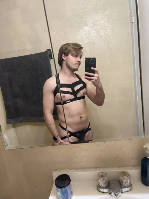 Love my new harness by TritonXD2391