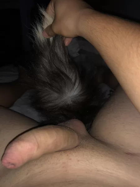 Love sleeping with my tail by Beetsgreen