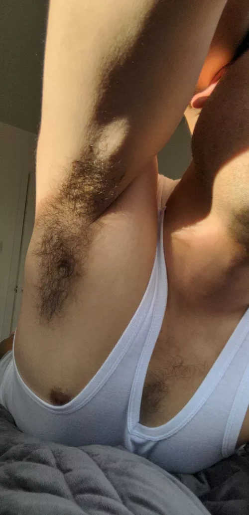 Love sunlight by nobody_account_