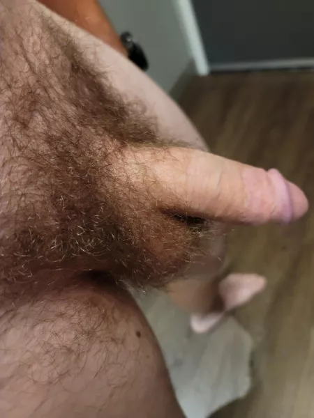 Love the feel of a full bush by icntslp