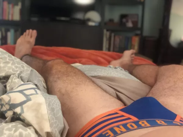 Love the look of these by Typical-Bumblebee-79