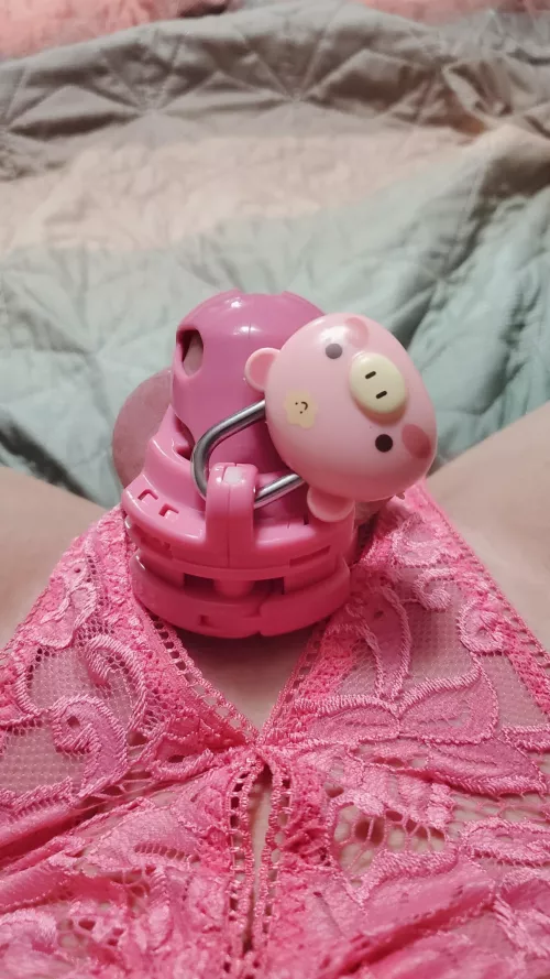 Love this cute new 🐷 🔐 by SissyJazzie