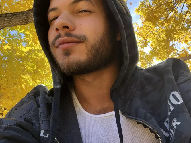 🍁Love to see the foliage changing colors🍁 by TristanMoreau