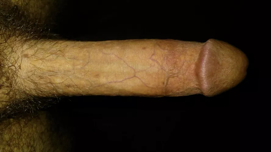 Love to share. Vers hit me up. by Local_Huckleberry812