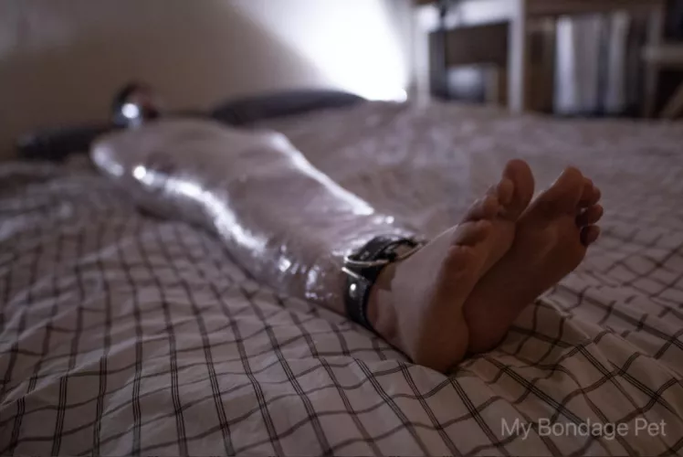 Love to spend hours mummified and just dream about what kind of bondage scene we should do in the future. SO helpless! Who enjoys mummification as much as I do? by mybondagepett
