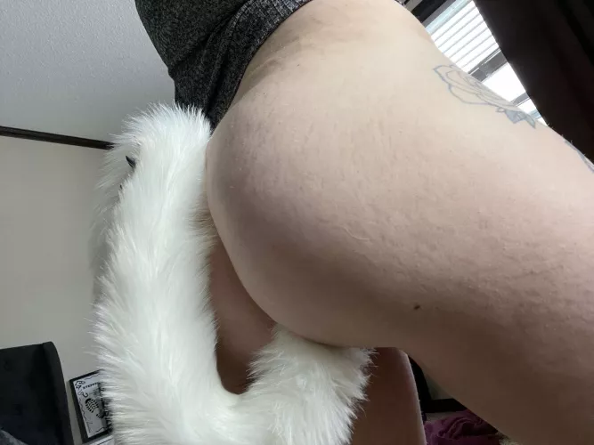 Love wearing this tail (f) by Mamacourtney