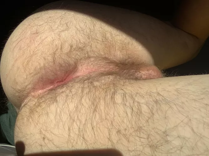 Love when the sun hits just right by buttmxnch