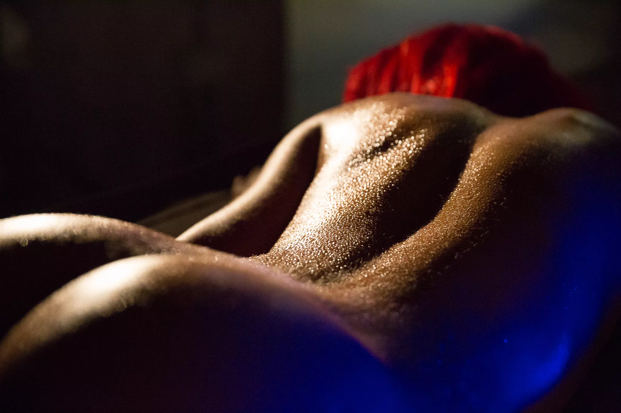 LOVEEEEEE backlit photos! Here's mine, tell me if you'd like to see more posted by ron_p_wilder