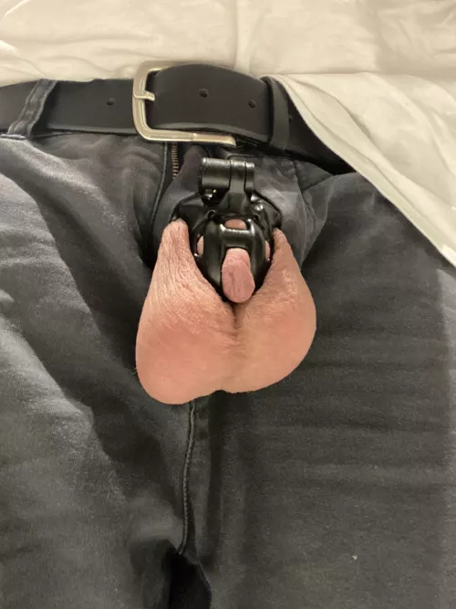 Loving life in the kink3d small baby cobra. Found my home by Proudlove1991