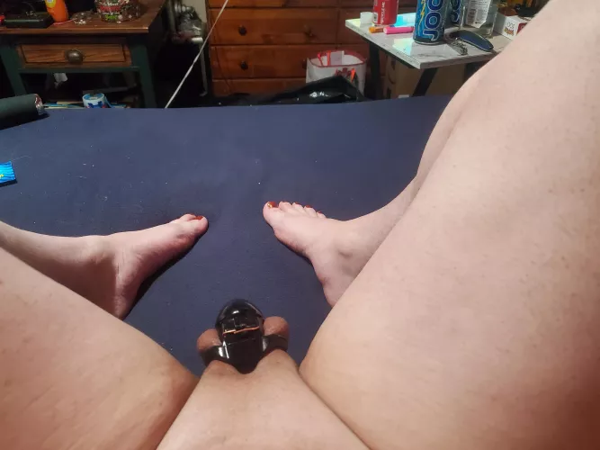 Loving my new cage by Ok-Brilliant4478