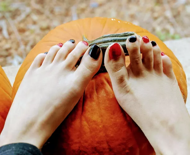 Loving Pumpkin Season by TogetherFeet