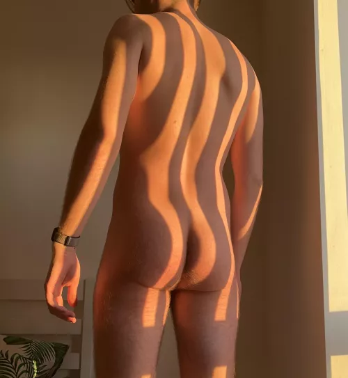 Low afternoon sun by AnotherUKOtter