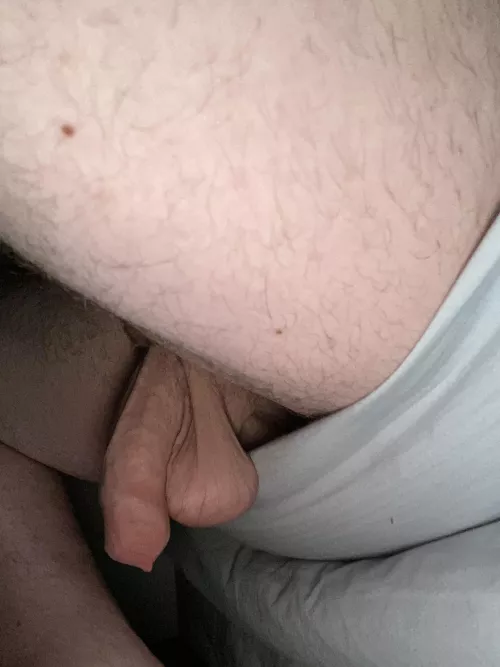 Low hangers by southernbull_