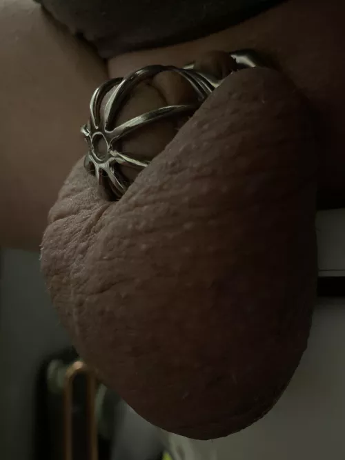 Low hanging fruit this morning, every day has been Locktober for last two years. Horny as ever. For me that has not went away. by Leftsaidfredrick