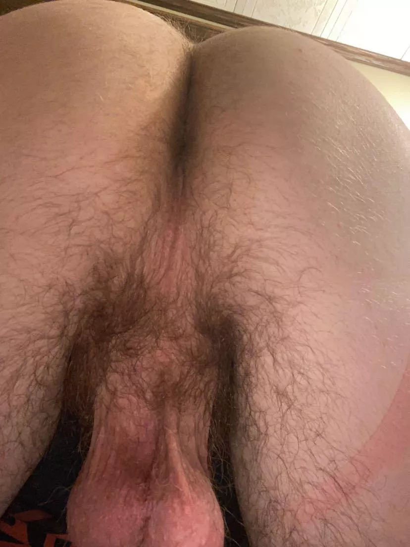 Low key really want my ass ate… posted by SingleMusician9651