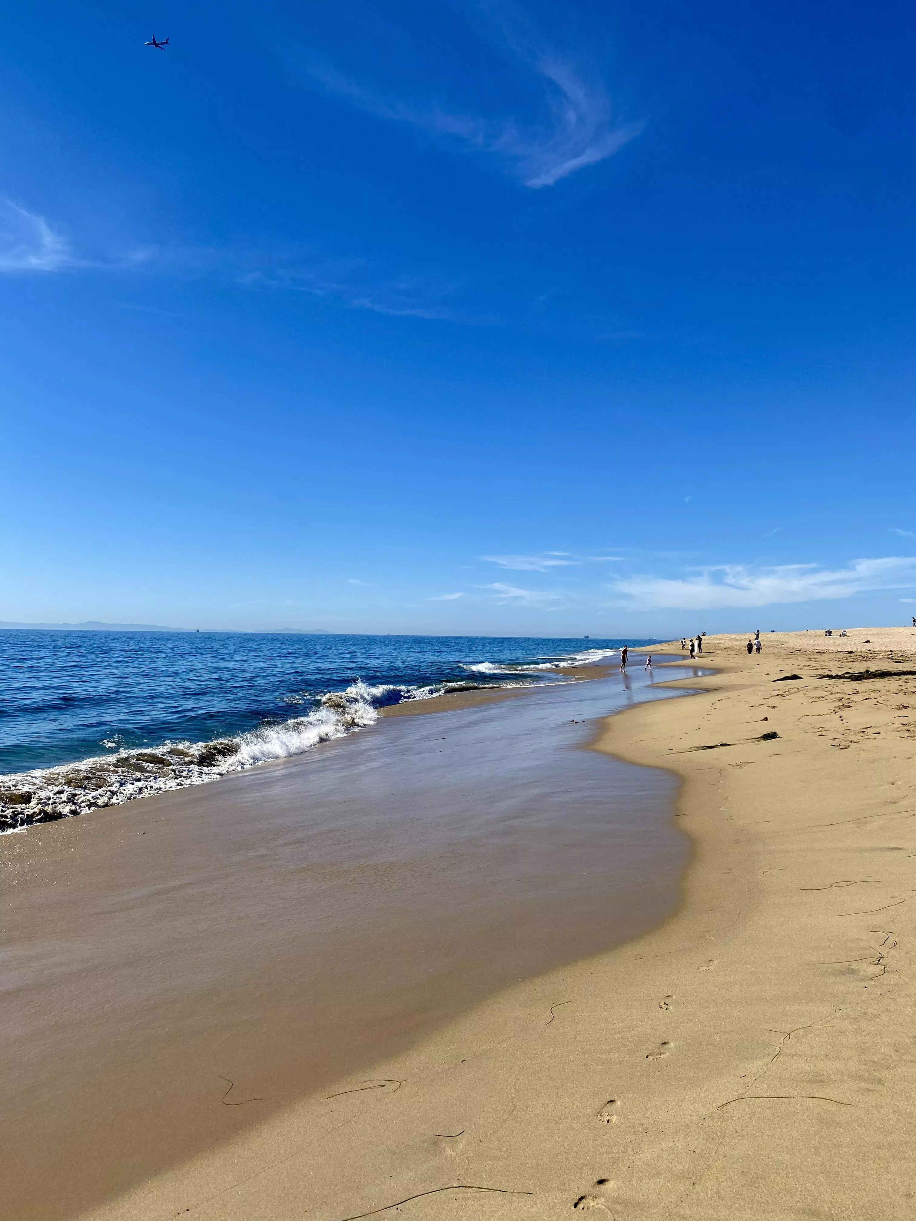 Low tide at The Wedge in Newport Beach California posted by ajfred_235