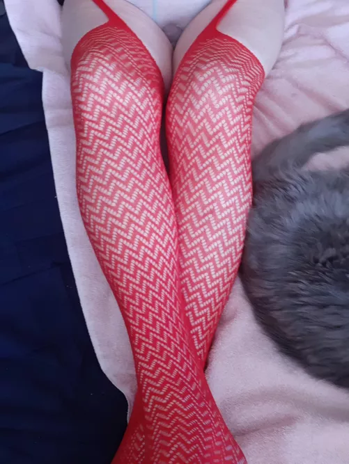 Lower Half by Tommytheman3