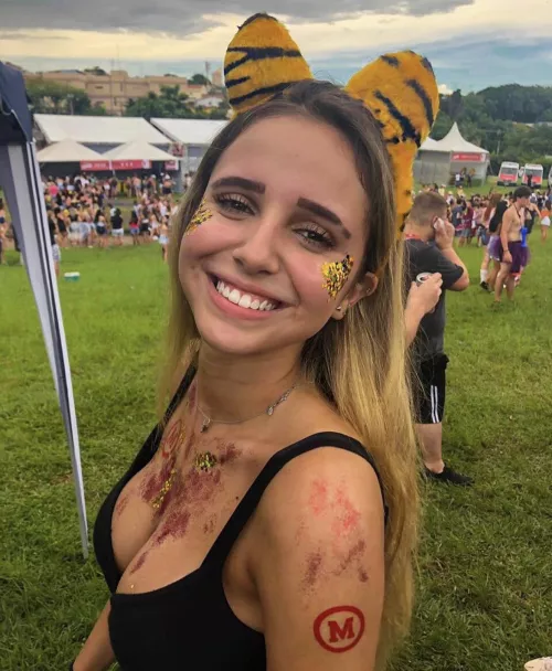 Lower key Brazilian festival by alejour