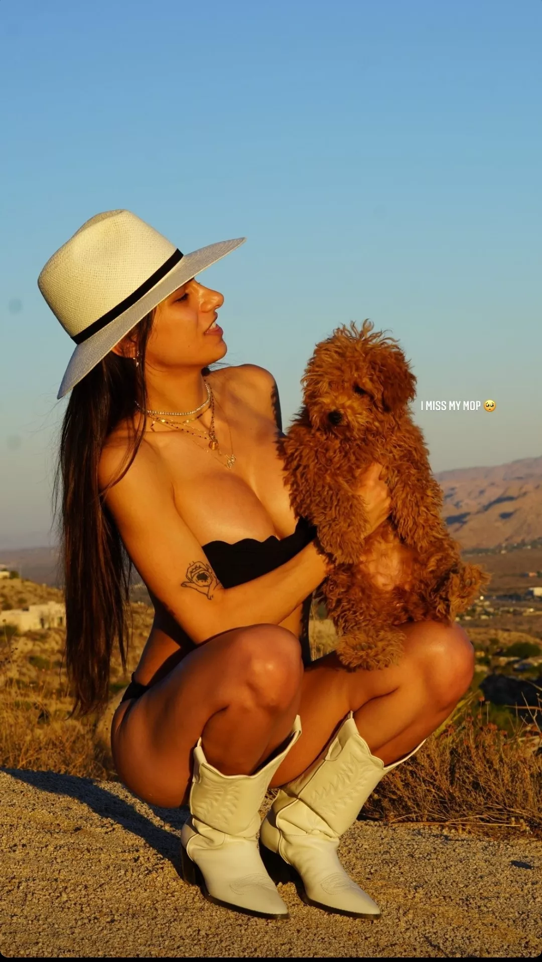 Lucky dog posted by Mysterious-25