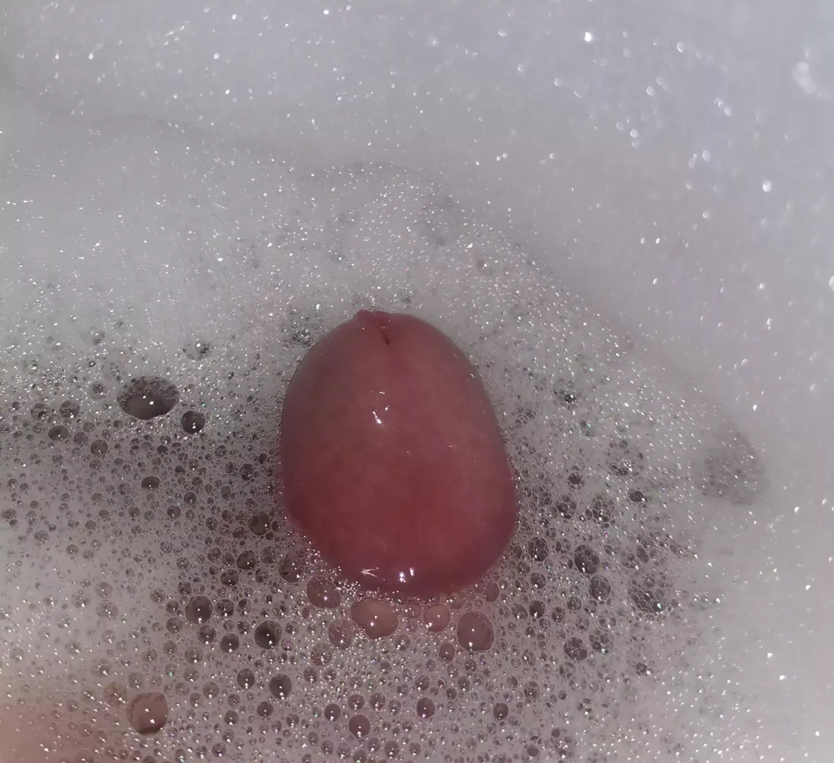 Lurking in the bathtub... Gotta catch 'em posted by [deleted]