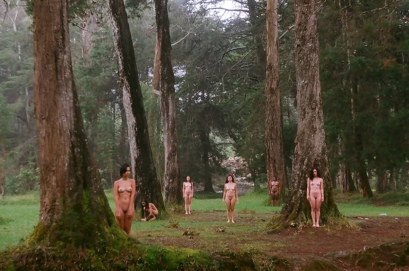 Lurking just beyond sight posted by paredocks