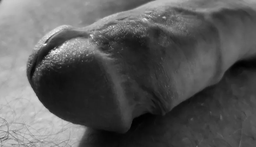 Lust and longing... by fierybi