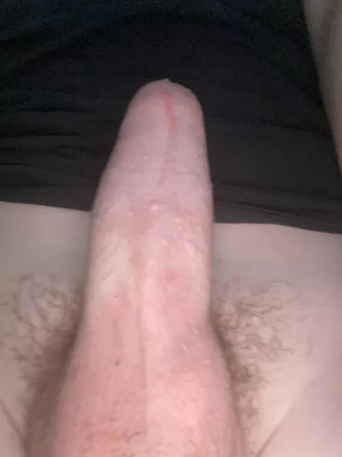 M [18] who can help me with my morning wood by HistoricalBug2508