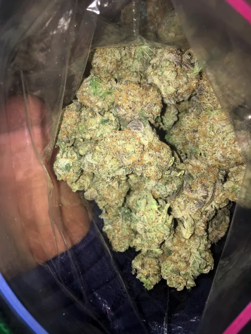 [M] 20 Just A little something! by justinsbwc69