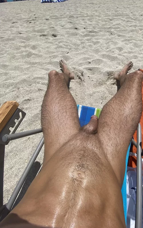 [M] 😎😎 by wanderingwasp