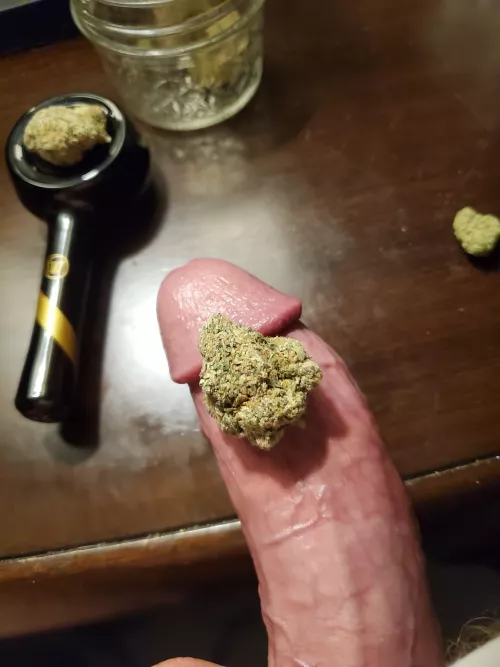 [M] high and hard on a tuesday by litterofcola