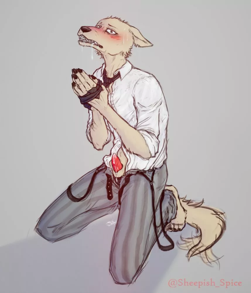 [M] Legoshi's bottom fun (@Sheepish_spice) posted by SidTheMed