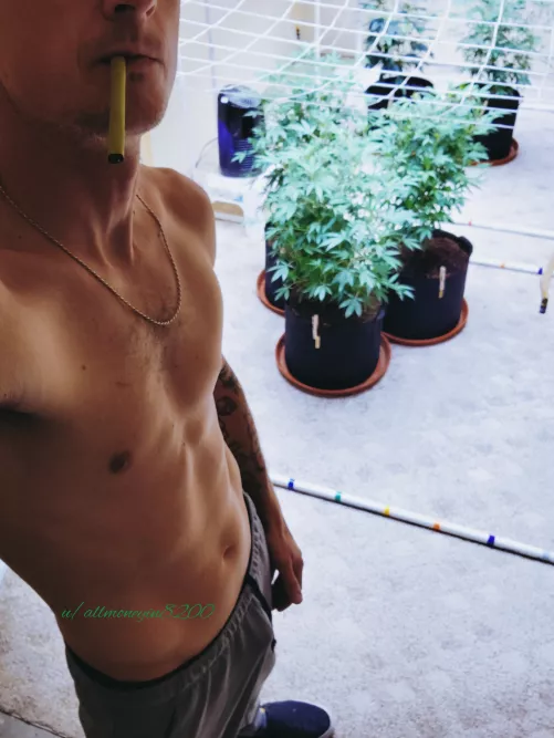 {m} Tending to the garden by allmoneyin8200