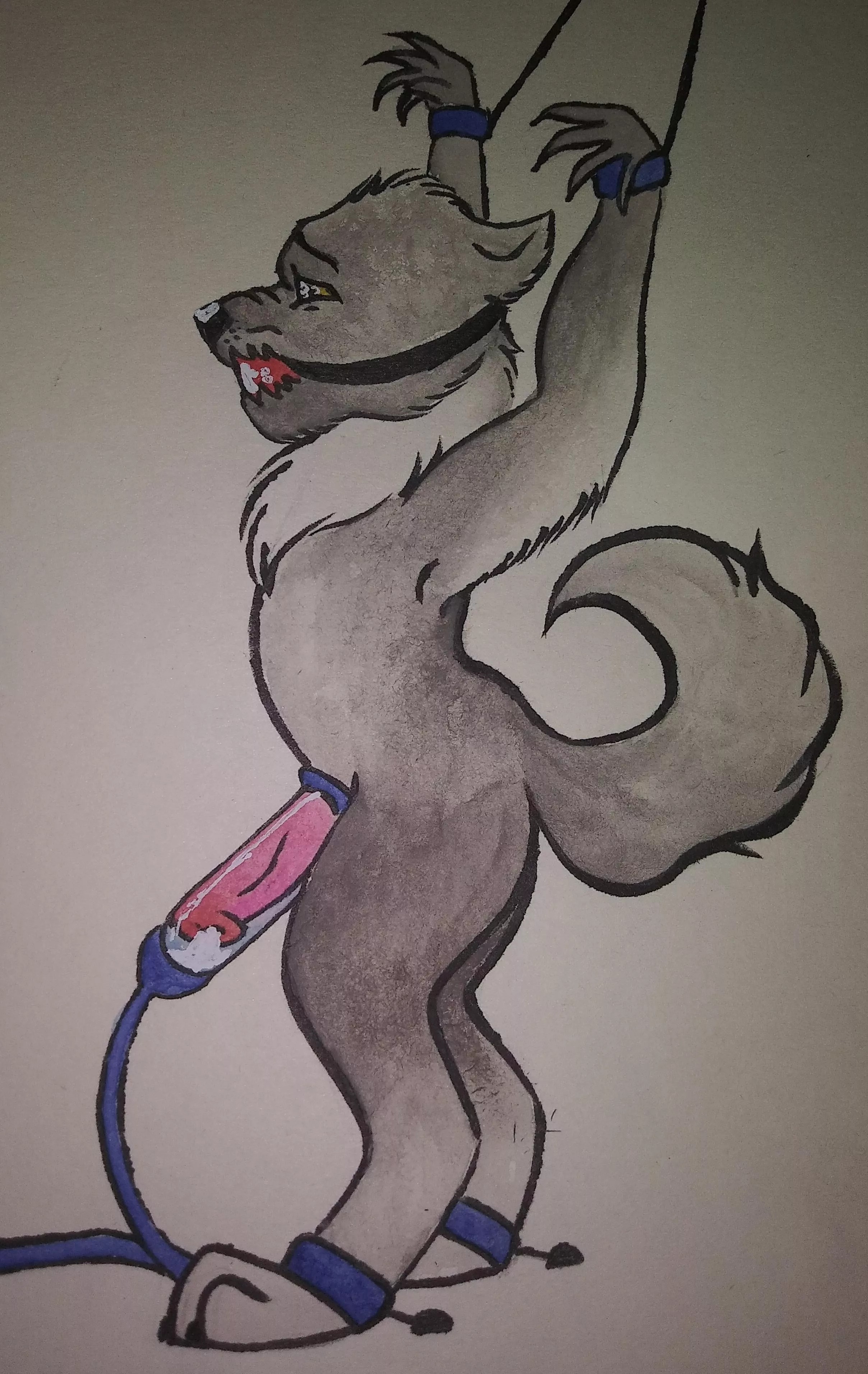 [M] (Thiccpuma420) posted by Thiccpuma420