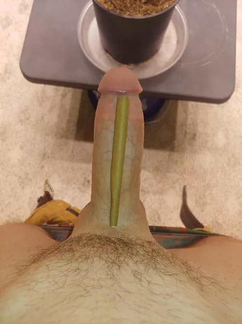 [m] Your Mom's favorite blunt smoker is at it again. Happy 4:20 y'all. Lighters up! by bayboyag82