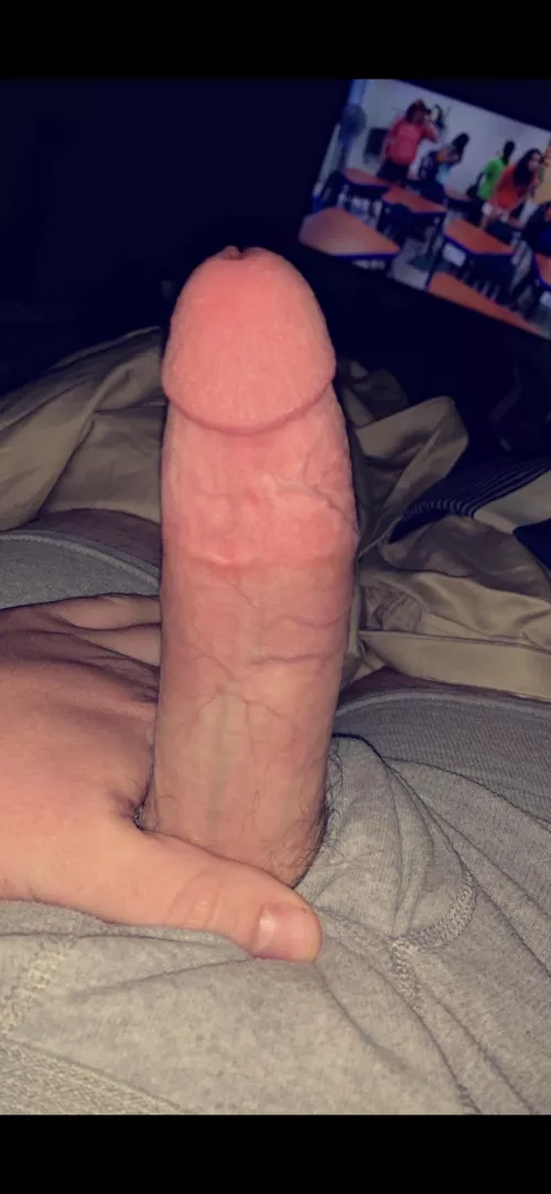 M19 Honest Rate by dannit441