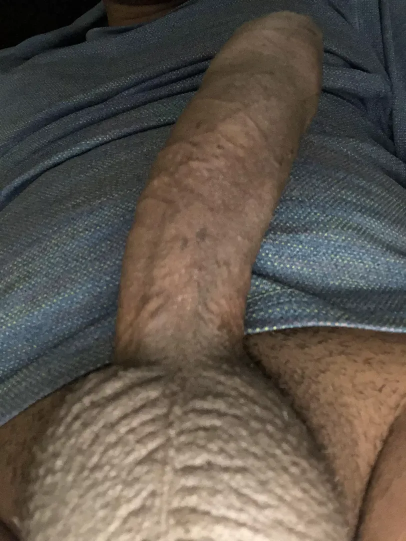 M35. Bull. Peoria. Getting back in the game looking for the next Hotwife. posted by Throwaway_pd