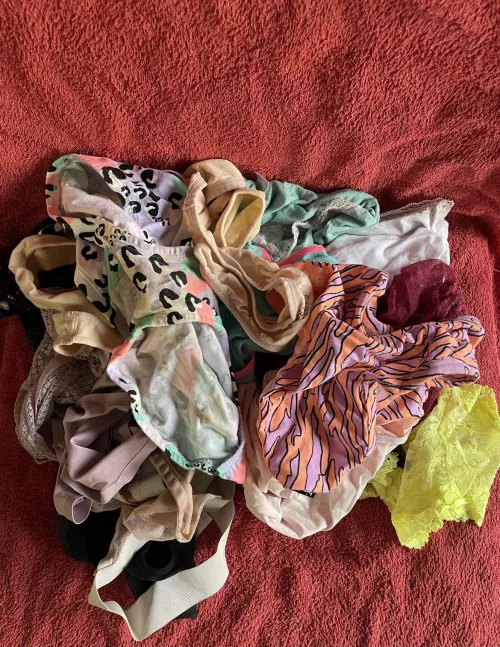 M45 looking to chat on Wickr with someone who wants to pick a few pair of panties for me to wear, suck and stroke into until I blow my load. Will send pictures and videos by aussiedad2021