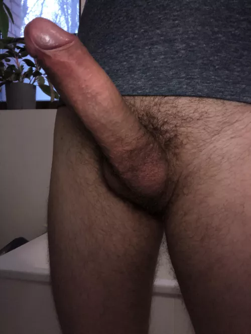 M4A curious guy interested in chat and more. You mind a little hair? by bob_2006