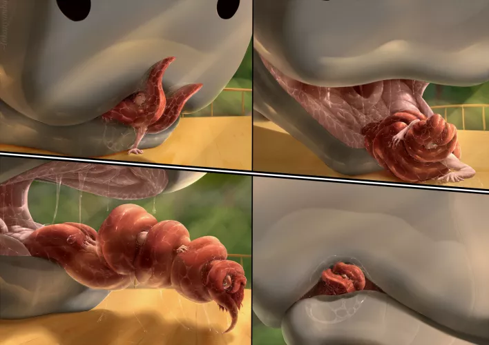 Macro Kaa 2 by Inkanyamba [furry][scalie][oral][unwilling][M/m] by albrecht_wsd65