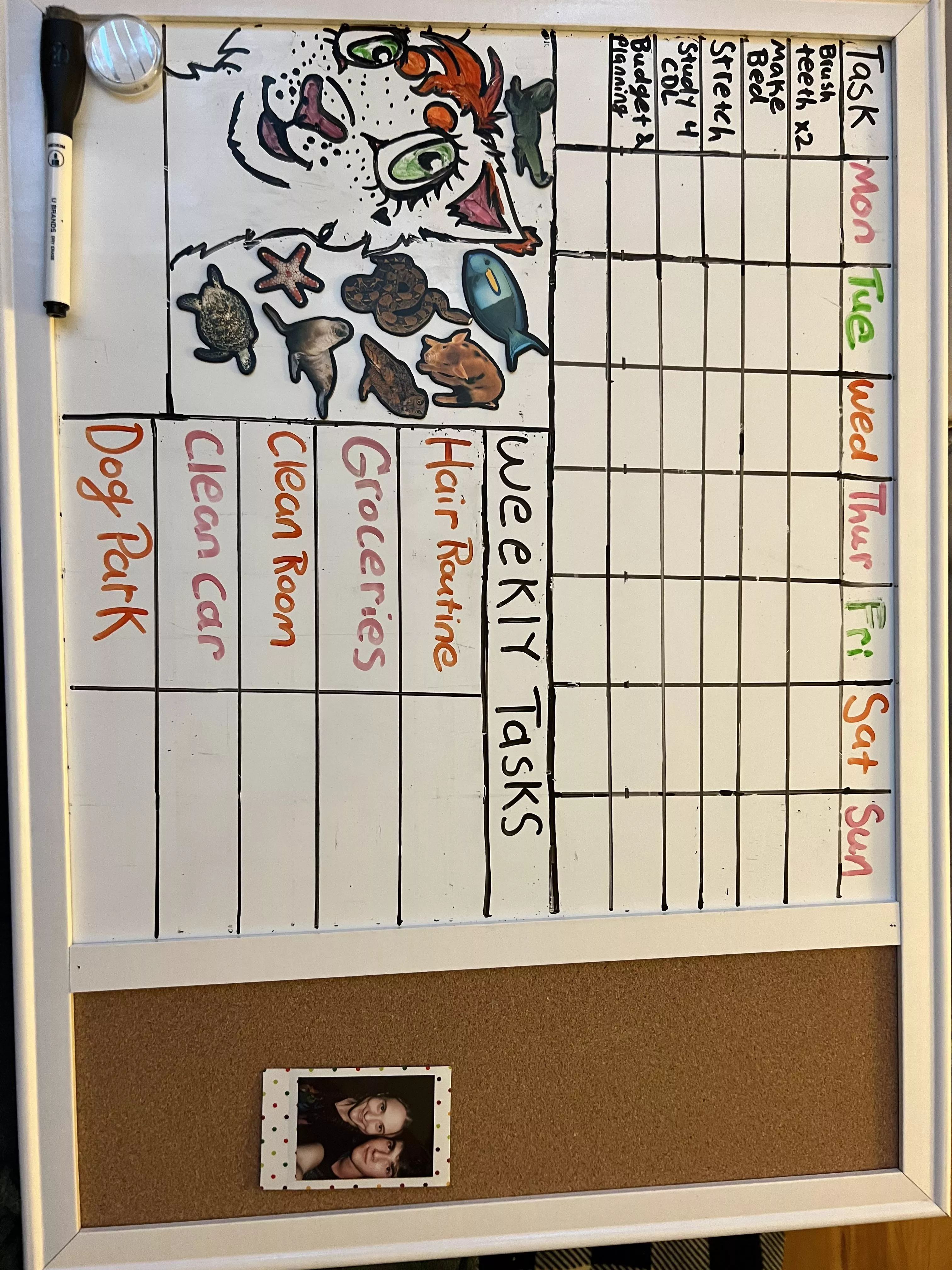 Made a daily and weekly chores chart to motivate me with self care. I move a magnet into the box once I’ve completed it! posted by FlexyRiah